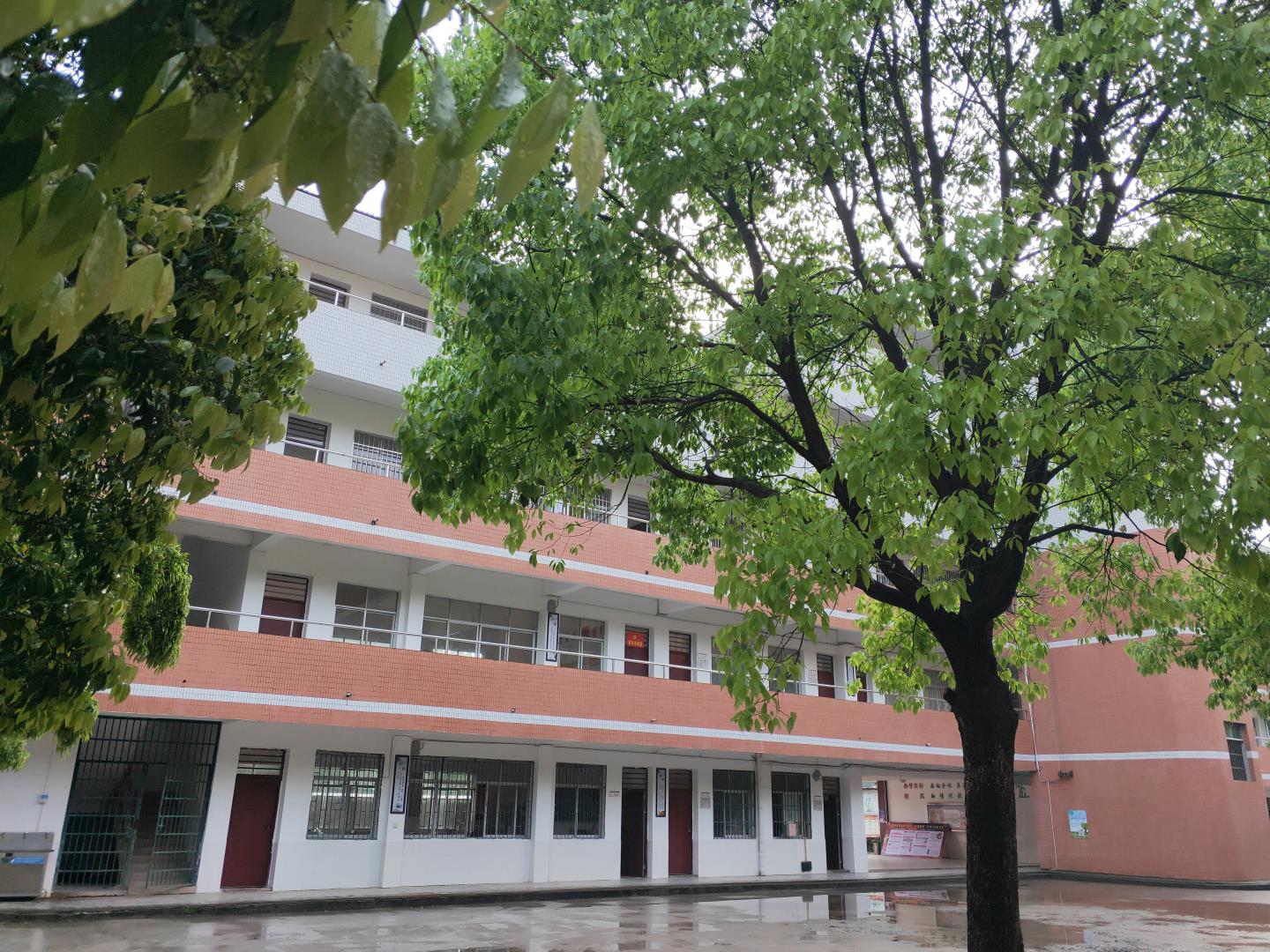 教学楼