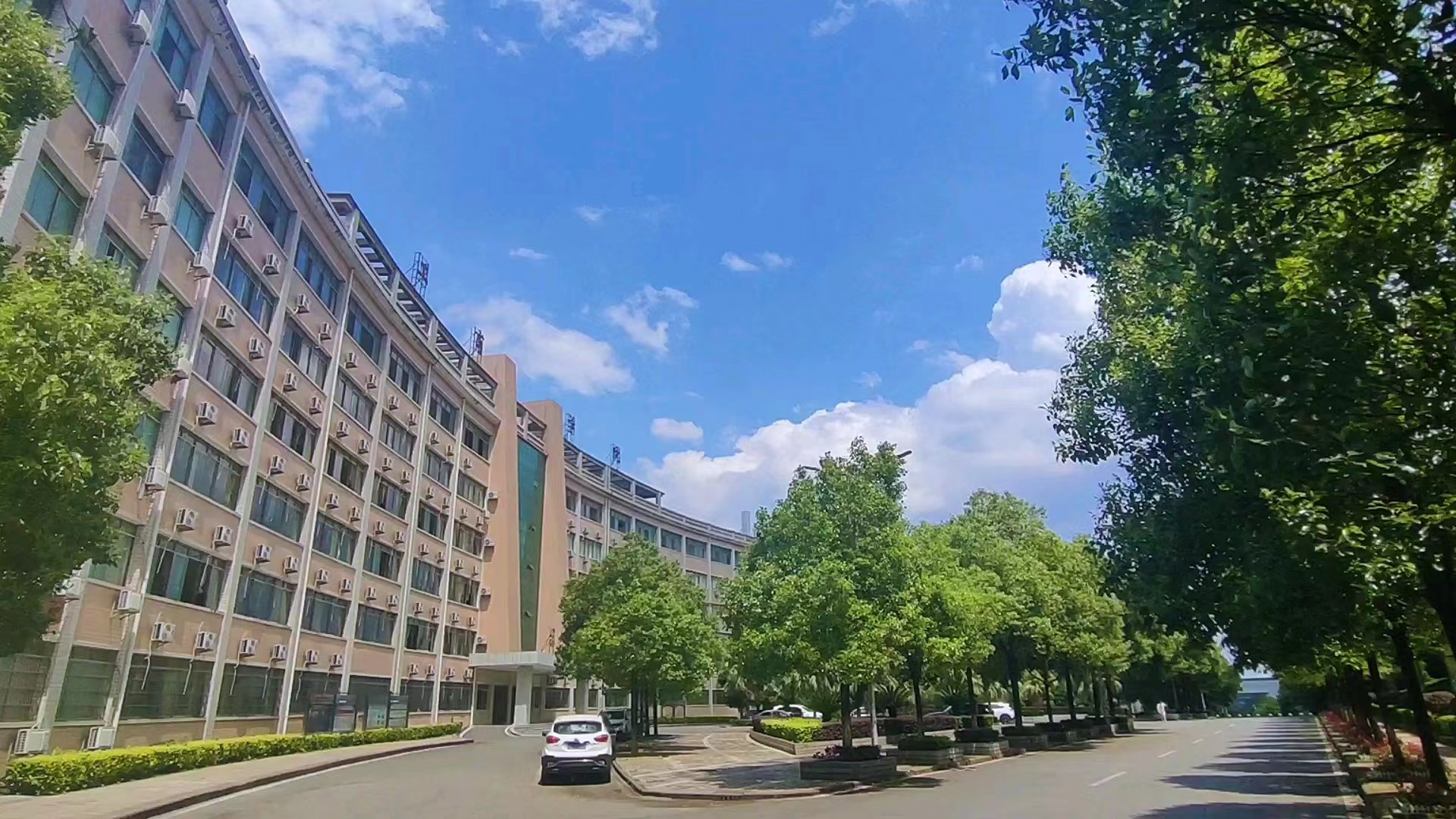 教学楼