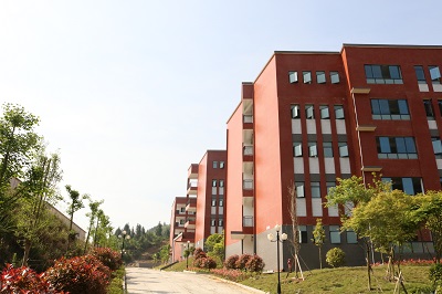 教学楼